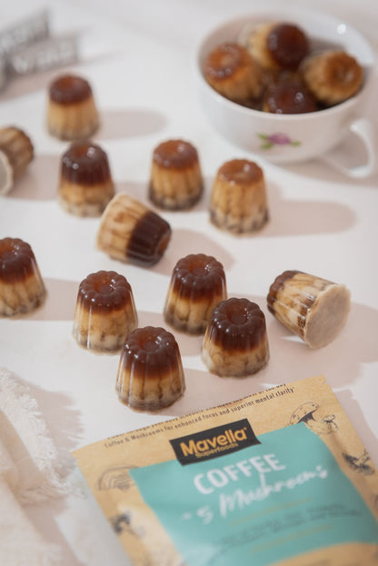 Mushroom Instant Coffee 100g